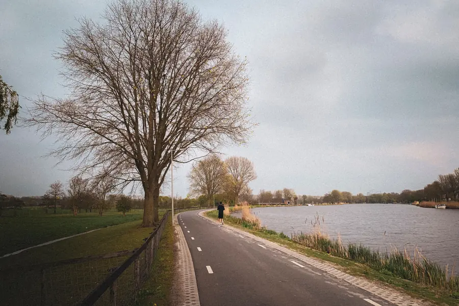 Fietspad langs de Amstel met weilanden en een kale boom, in de omgeving van Ouder-Amstel